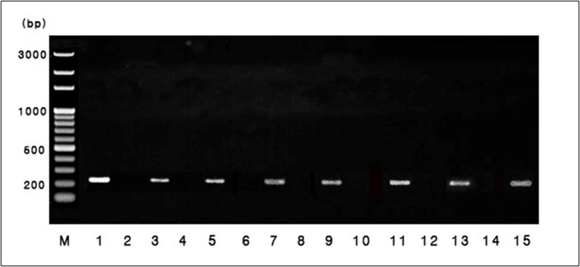 kjps-45-3-155-g1