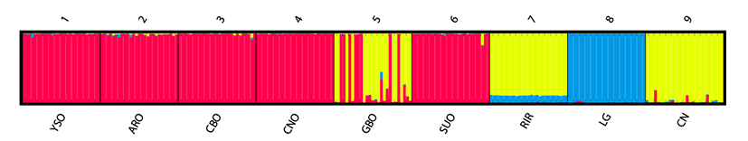 kjps-45-3-229-g2