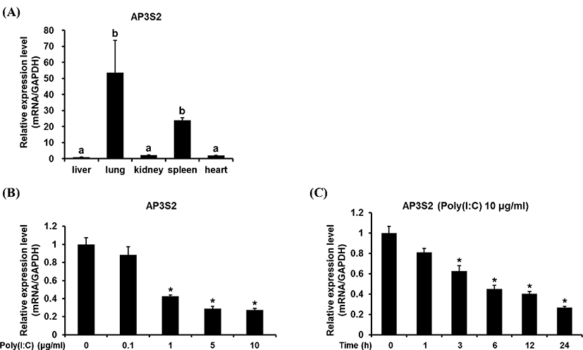 kjps-46-1-31-g2