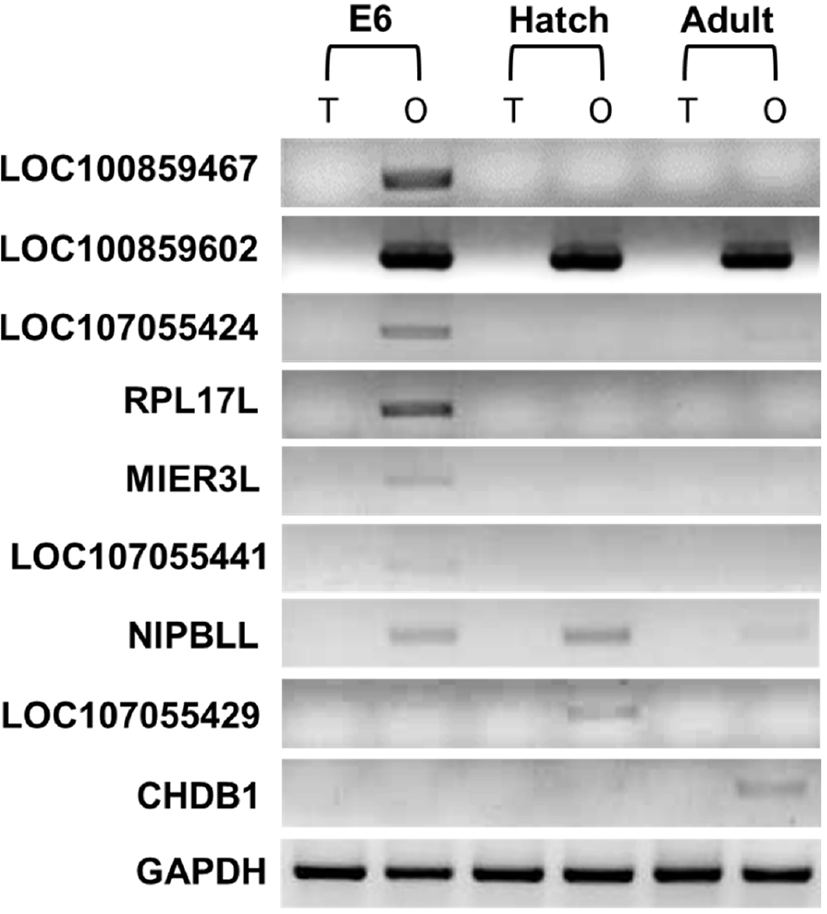 kjps-46-4-287-g1