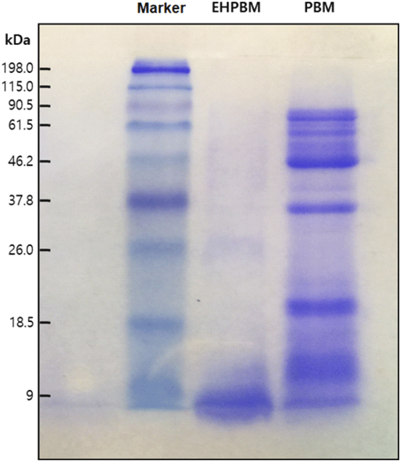 kjps-48-3-133-g1