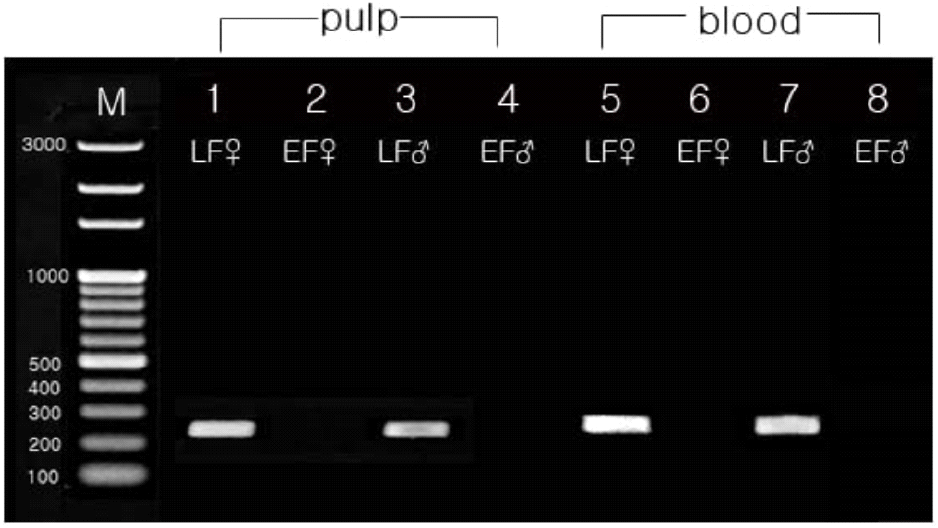 kjps-51-2-117-g3