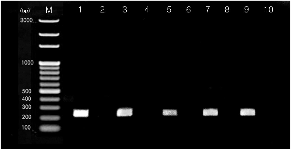 kjps-51-2-65-g2